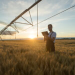 Serious,Young,Caucasian,Farmer,Or,Agronomist,Standing,In,Ripe,Wheat