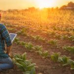 Smart,Farmer,Using,Tablet,Control,For,Irrigation,System,Working,Watering