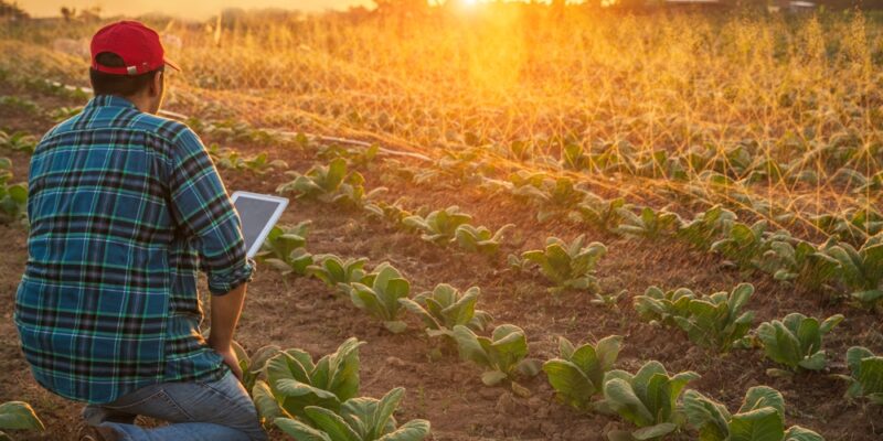 Smart,Farmer,Using,Tablet,Control,For,Irrigation,System,Working,Watering