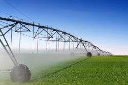 Crop,Irrigation,Using,The,Center,Pivot,Sprinkler,System
