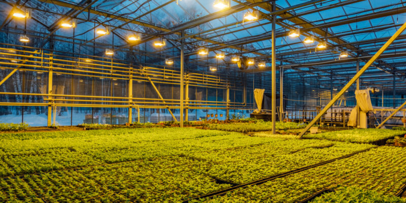 Modern,Hydroponic,Greenhouse,With,Complex,Climate,Control,System,For,Cultivation