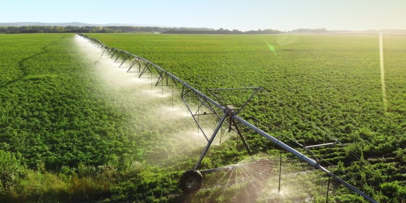 Aerial,View,Pivot,At,Work,In,Potato,Field,,Watering,Crop