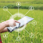 Smart,Farming,,Using,Modern,Technologies,In,Agriculture.,Man,Agronomist,Farmer