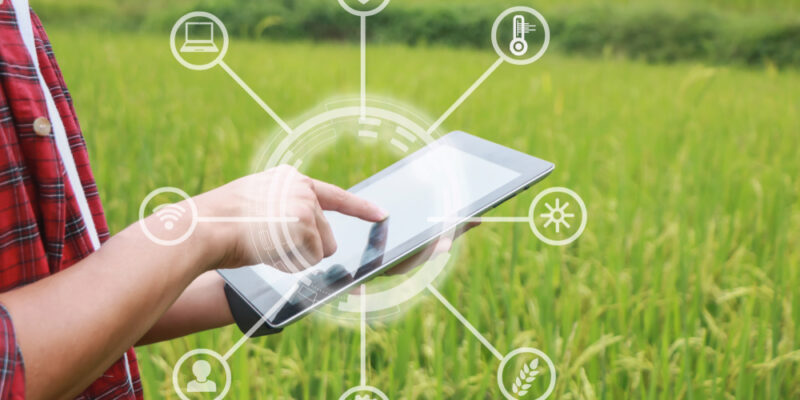 Smart,Farming,,Using,Modern,Technologies,In,Agriculture.,Man,Agronomist,Farmer