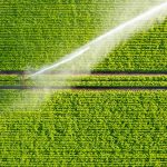 Aerial,View,By,A,Drone,Of,A,Farm,Field,Being